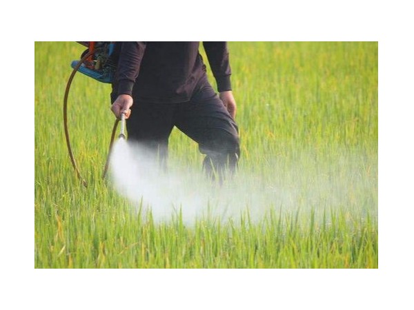 什么是纳米农药呢？用糖心VLOGAPP制备