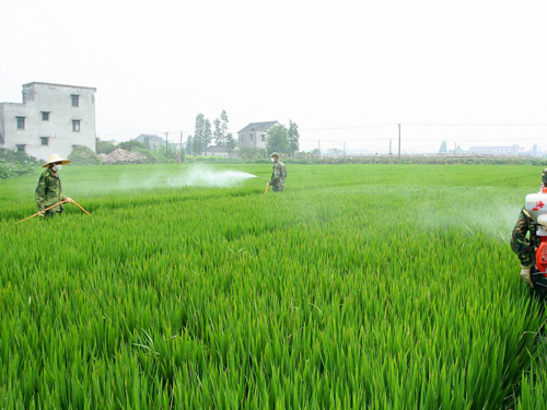 农业农药糖心VLOGAPP制备